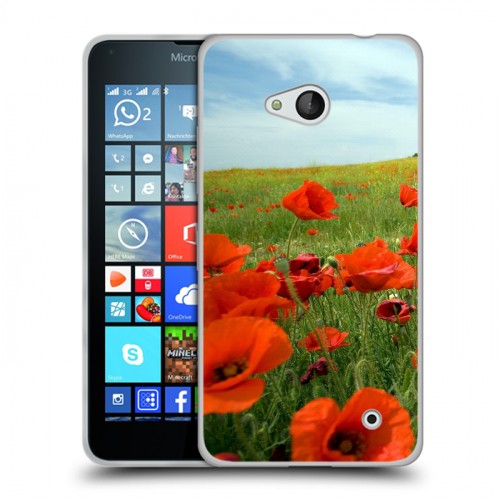Дизайнерский пластиковый чехол для Microsoft Lumia 640 Мак