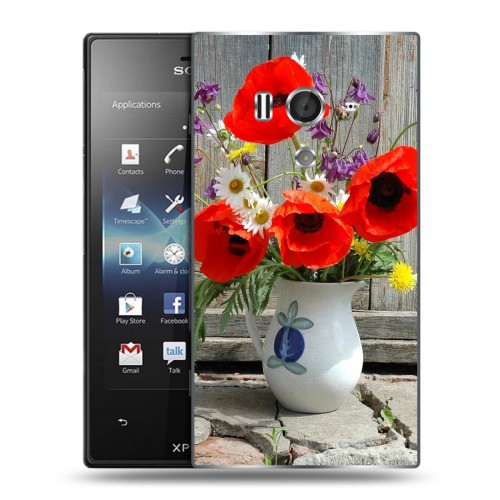 Дизайнерский пластиковый чехол для Sony Xperia acro S Мак