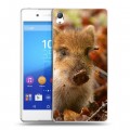 Дизайнерский пластиковый чехол для Sony Xperia Z3+ Свинки