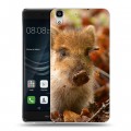 Дизайнерский пластиковый чехол для Huawei Y6II Свинки