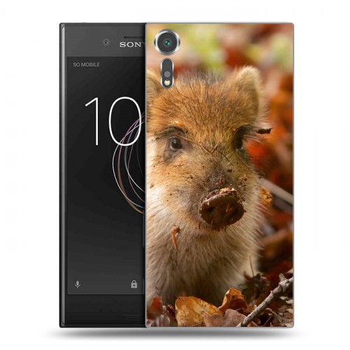 Дизайнерский пластиковый чехол для Sony Xperia XZs Свинки