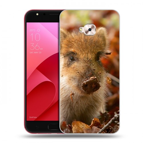 Дизайнерский пластиковый чехол для ASUS ZenFone 4 Selfie Pro Свинки