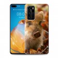 Дизайнерский силиконовый с усиленными углами чехол для Huawei P40 Свинки