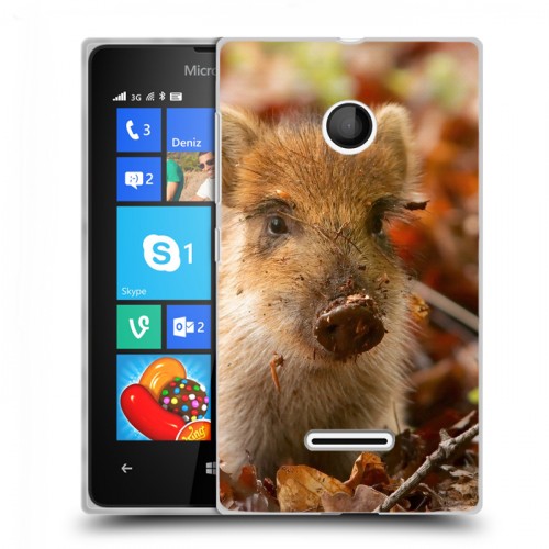 Дизайнерский пластиковый чехол для Microsoft Lumia 435 Свинки