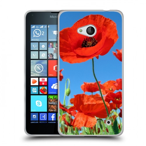 Дизайнерский пластиковый чехол для Microsoft Lumia 640 Мак