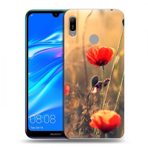 Дизайнерский пластиковый чехол для Huawei Y6 (2019) Мак