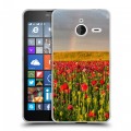Дизайнерский пластиковый чехол для Microsoft Lumia 640 XL Мак