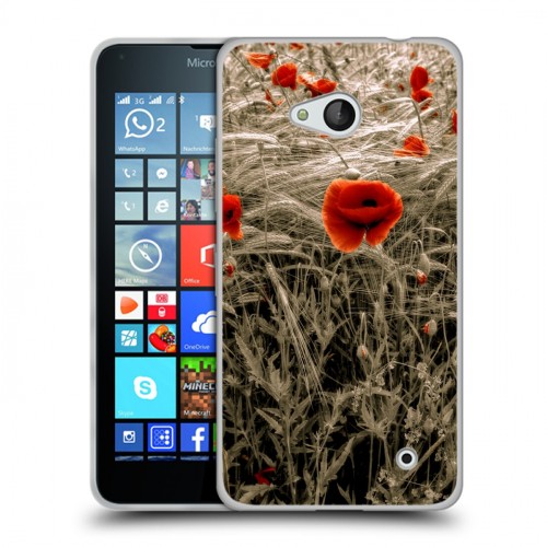 Дизайнерский пластиковый чехол для Microsoft Lumia 640 Мак