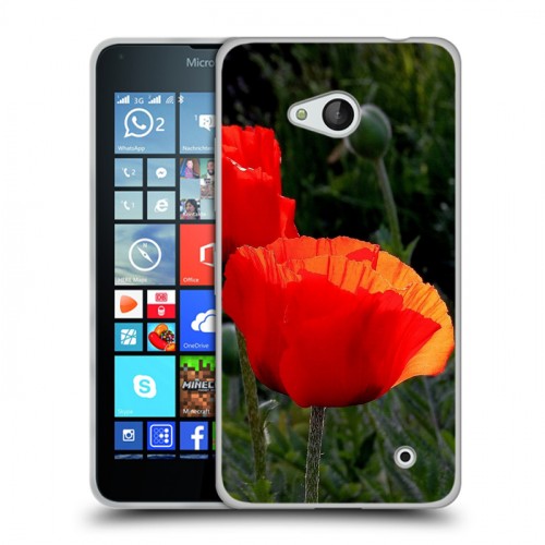 Дизайнерский пластиковый чехол для Microsoft Lumia 640 Мак