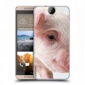 Дизайнерский силиконовый чехол для HTC One E9+ Свинки