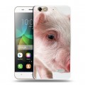 Дизайнерский пластиковый чехол для Huawei Honor 4C Свинки
