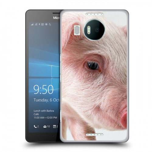 Дизайнерский пластиковый чехол для Microsoft Lumia 950 XL Свинки