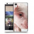 Дизайнерский силиконовый чехол для HTC Desire 626 Свинки