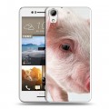 Дизайнерский пластиковый чехол для HTC Desire 728 Свинки