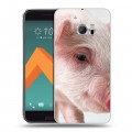 Дизайнерский пластиковый чехол для HTC 10 Свинки