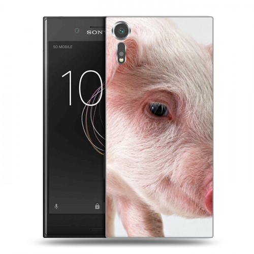 Дизайнерский пластиковый чехол для Sony Xperia XZs Свинки