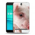 Дизайнерский пластиковый чехол для ASUS ZenFone Go ZB690KG Свинки