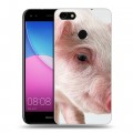 Дизайнерский пластиковый чехол для Huawei Nova Lite (2017) Свинки