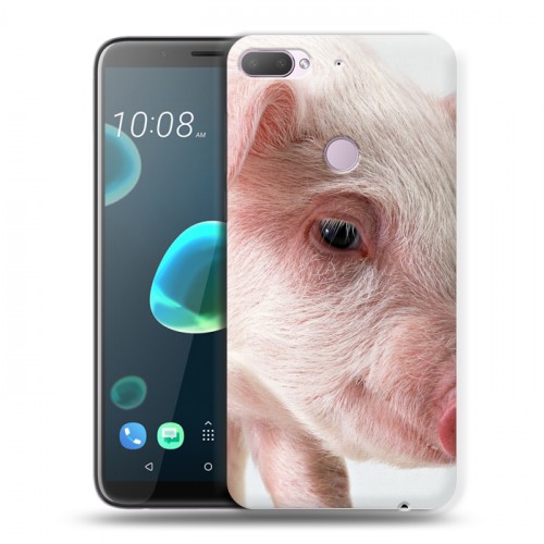 Дизайнерский силиконовый чехол для HTC Desire 12 Plus Свинки