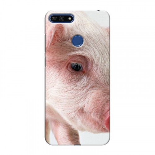 Дизайнерский силиконовый чехол для Huawei Honor 7A Pro Свинки