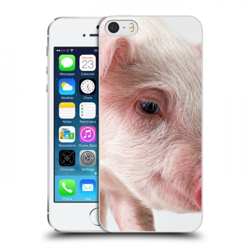 Дизайнерский пластиковый чехол для Iphone 5s Свинки