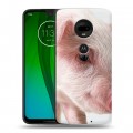 Дизайнерский пластиковый чехол для Motorola Moto G7 Свинки