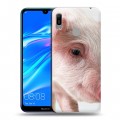 Дизайнерский пластиковый чехол для Huawei Y6 (2019) Свинки