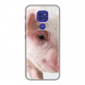 Дизайнерский силиконовый чехол для Motorola Moto G9 Play Свинки