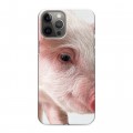 Дизайнерский силиконовый чехол для Iphone 12 Pro Max Свинки