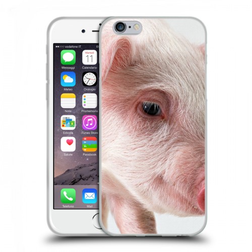 Дизайнерский пластиковый чехол для Iphone 6/6s Свинки