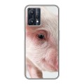 Дизайнерский силиконовый чехол для Realme 9 Pro Свинки