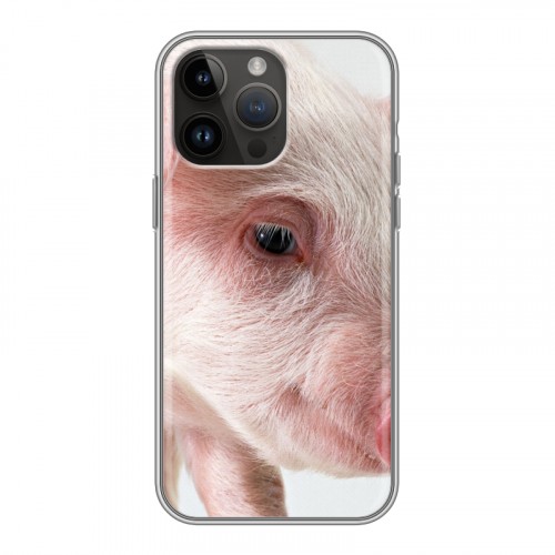 Дизайнерский силиконовый чехол для Iphone 14 Pro Max Свинки