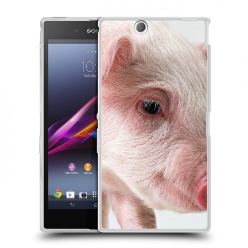 Дизайнерский пластиковый чехол для Sony Xperia Z Ultra  Свинки