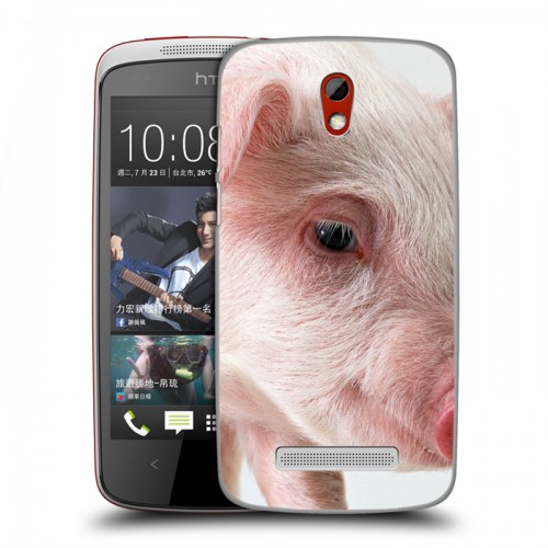 Дизайнерский пластиковый чехол для HTC Desire 500 Свинки