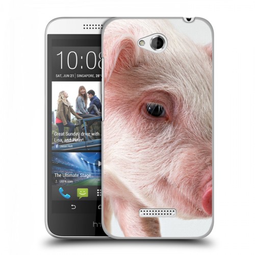 Дизайнерский пластиковый чехол для HTC Desire 616 Свинки