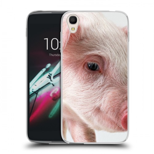 Дизайнерский пластиковый чехол для Alcatel One Touch Idol 3 (4.7) Свинки