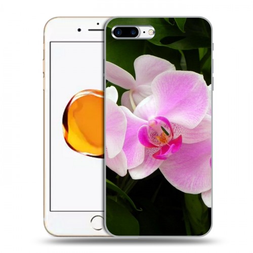 Дизайнерский силиконовый чехол для Iphone 7 Plus / 8 Plus Орхидеи