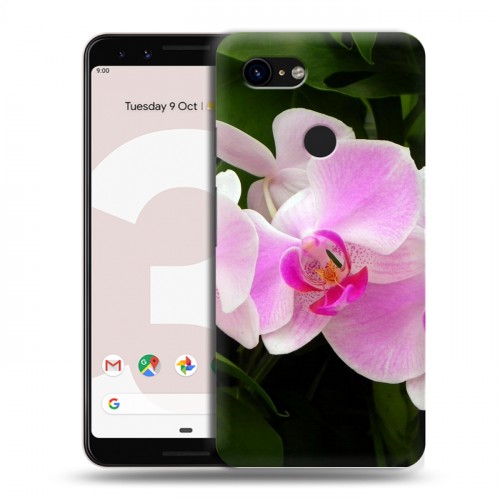 Дизайнерский пластиковый чехол для Google Pixel 3 Орхидеи