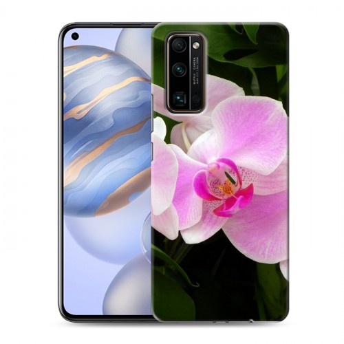Дизайнерский пластиковый чехол для Huawei Honor 30 Орхидеи