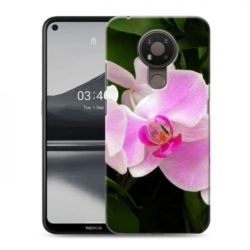 Дизайнерский пластиковый чехол для Nokia 3.4 Орхидеи