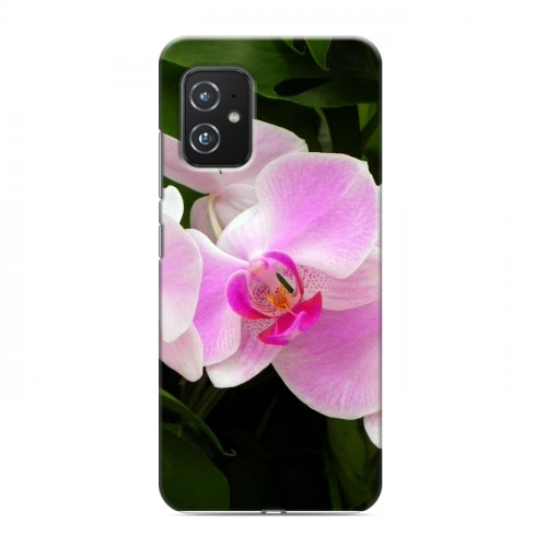 Дизайнерский силиконовый чехол для ASUS ZenFone 8 Орхидеи