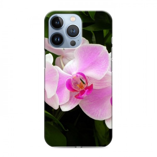 Дизайнерский силиконовый чехол для Iphone 13 Pro Орхидеи