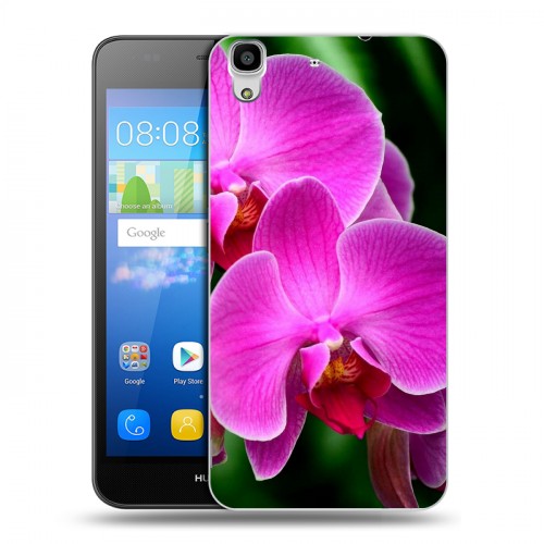 Дизайнерский пластиковый чехол для Huawei Y6 Орхидеи