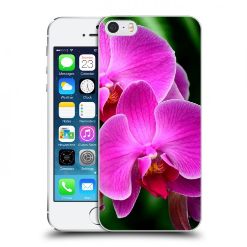 Дизайнерский пластиковый чехол для Iphone 5s Орхидеи