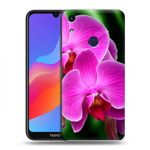 Дизайнерский пластиковый чехол для Huawei Honor 8A Орхидеи