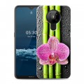 Дизайнерский пластиковый чехол для Nokia 5.3 Орхидеи