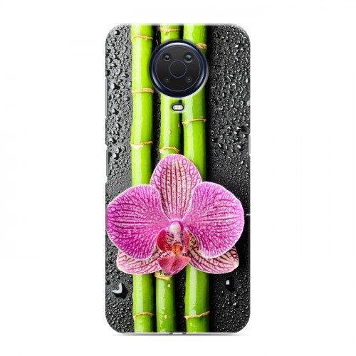 Дизайнерский пластиковый чехол для Nokia G20 Орхидеи