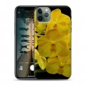 Дизайнерский пластиковый чехол для Iphone 11 Pro Max Орхидеи