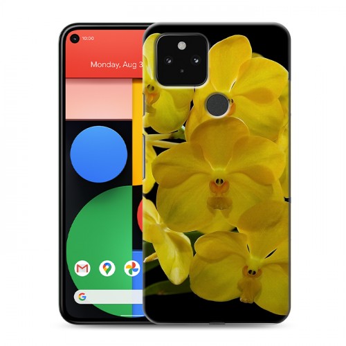 Дизайнерский пластиковый чехол для Google Pixel 5 Орхидеи