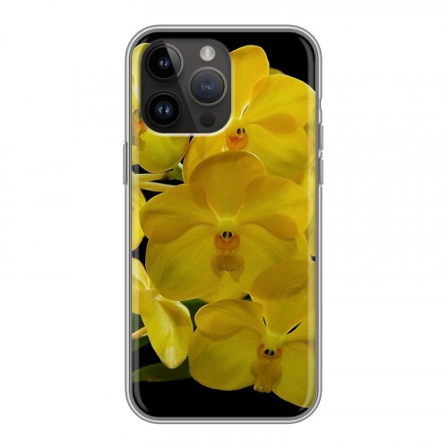 Дизайнерский силиконовый чехол для Iphone 14 Pro Max Орхидеи